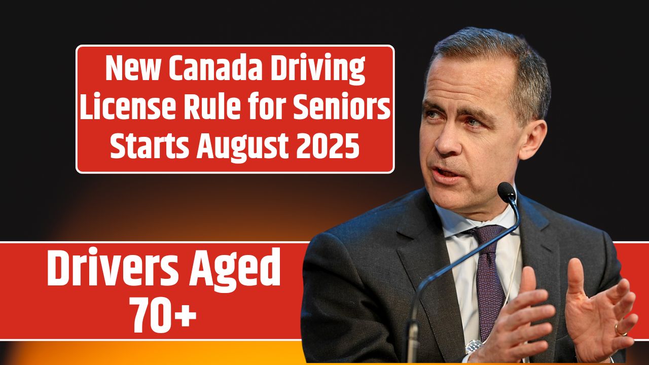 New Canada Driving License Rule for Seniors Starts August 2025